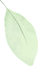 Evara